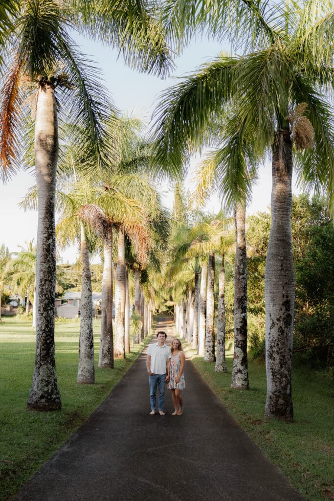 Engagement photo with man and woman standing on a long driveway, smiling at the camera and holding hands surrounded by coconut trees that line the driveway. 