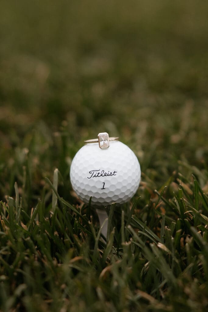 Photograph of engagement portraits at Hiawatha Golf Course in Minneapolis Minnesota.